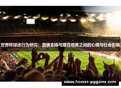 世界杯球迷行为研究：激情支持与理性观赛之间的心理与社会影响