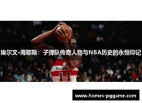 埃尔文·海耶斯：子弹队传奇人物与NBA历史的永恒印记