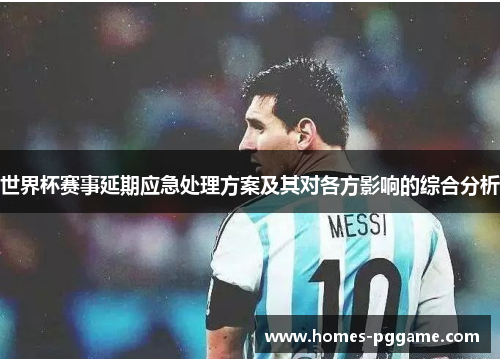 世界杯赛事延期应急处理方案及其对各方影响的综合分析 世界杯赛事延期应急处理方案及其对各方影响的综合分析