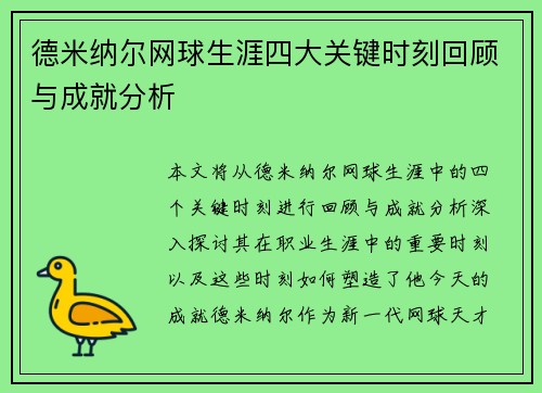 德米纳尔网球生涯四大关键时刻回顾与成就分析