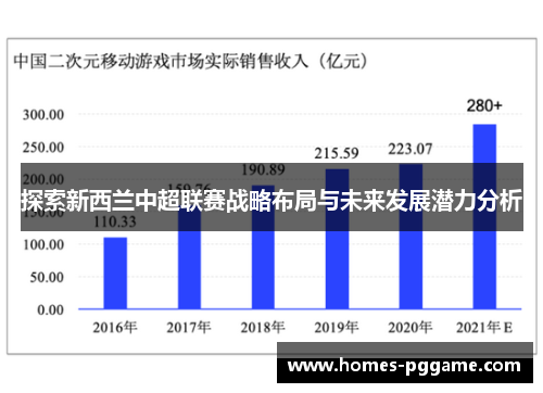 探索新西兰中超联赛战略布局与未来发展潜力分析