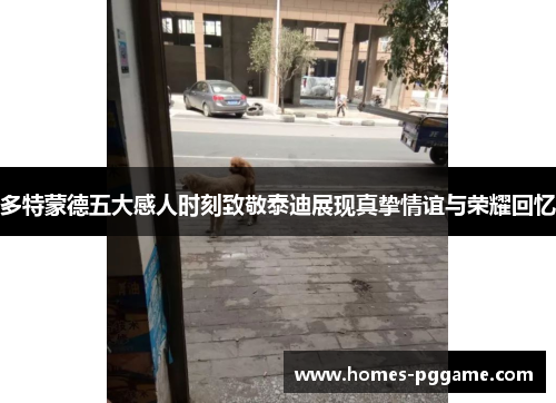 多特蒙德五大感人时刻致敬泰迪展现真挚情谊与荣耀回忆