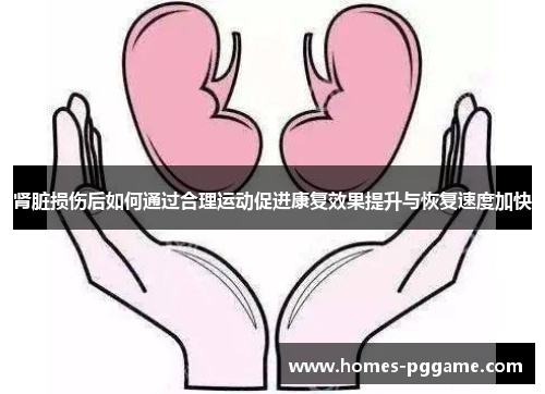 肾脏损伤后如何通过合理运动促进康复效果提升与恢复速度加快 肾脏损伤后如何通过合理运动促进康复效果提升与恢复速度加快