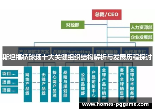 斯坦福桥球场十大关键组织结构解析与发展历程探讨 斯坦福桥球场十大关键组织结构解析与发展历程探讨