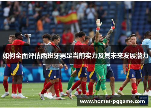 如何全面评估西班牙男足当前实力及其未来发展潜力