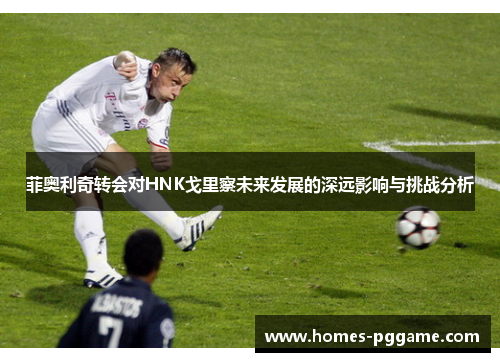 菲奥利奇转会对HNK戈里察未来发展的深远影响与挑战分析 菲奥利奇转会对HNK戈里察未来发展的深远影响与挑战分析