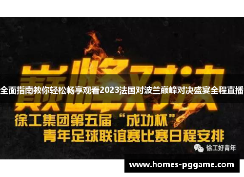 全面指南教你轻松畅享观看2023法国对波兰巅峰对决盛宴全程直播