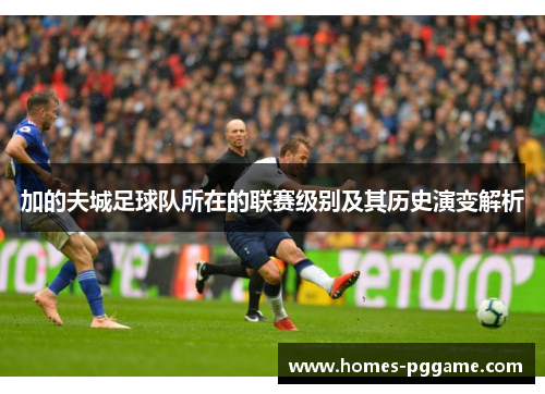 加的夫城足球队所在的联赛级别及其历史演变解析 加的夫城足球队所在的联赛级别及其历史演变解析