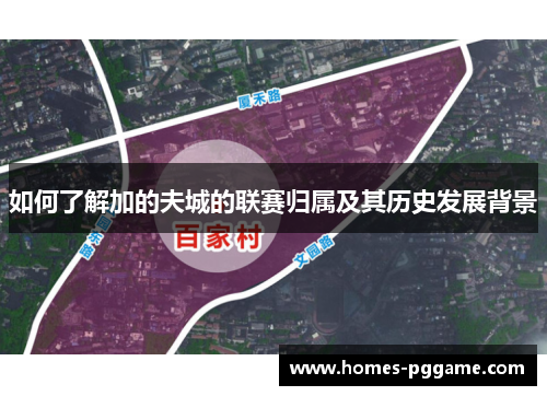 如何了解加的夫城的联赛归属及其历史发展背景