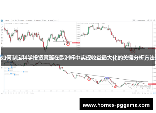 如何制定科学投资策略在欧洲杯中实现收益最大化的关键分析方法 如何制定科学投资策略在欧洲杯中实现收益最大化的关键分析方法