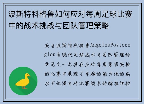 波斯特科格鲁如何应对每周足球比赛中的战术挑战与团队管理策略