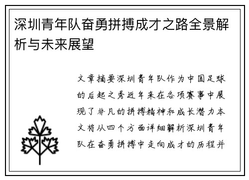 深圳青年队奋勇拼搏成才之路全景解析与未来展望